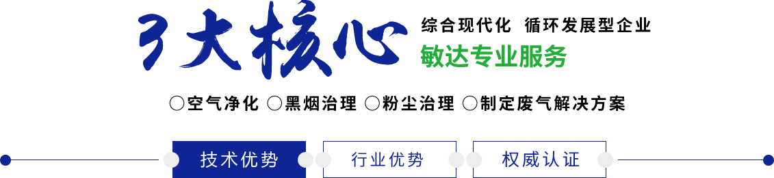 外国老人插逼敏达环保科技（嘉兴）有限公司